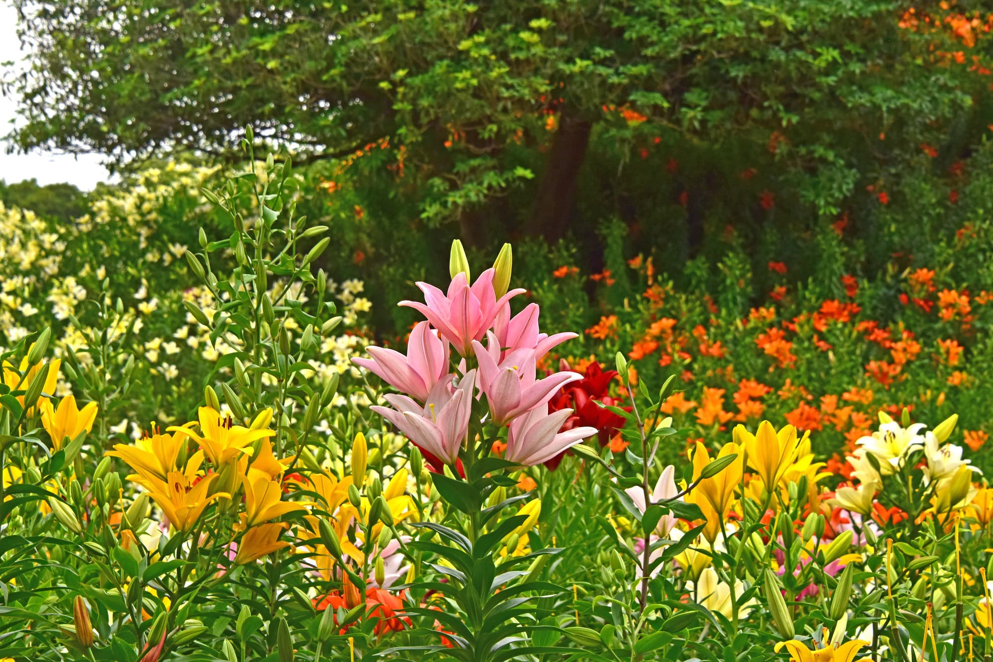 PXT00012847565002.jpg